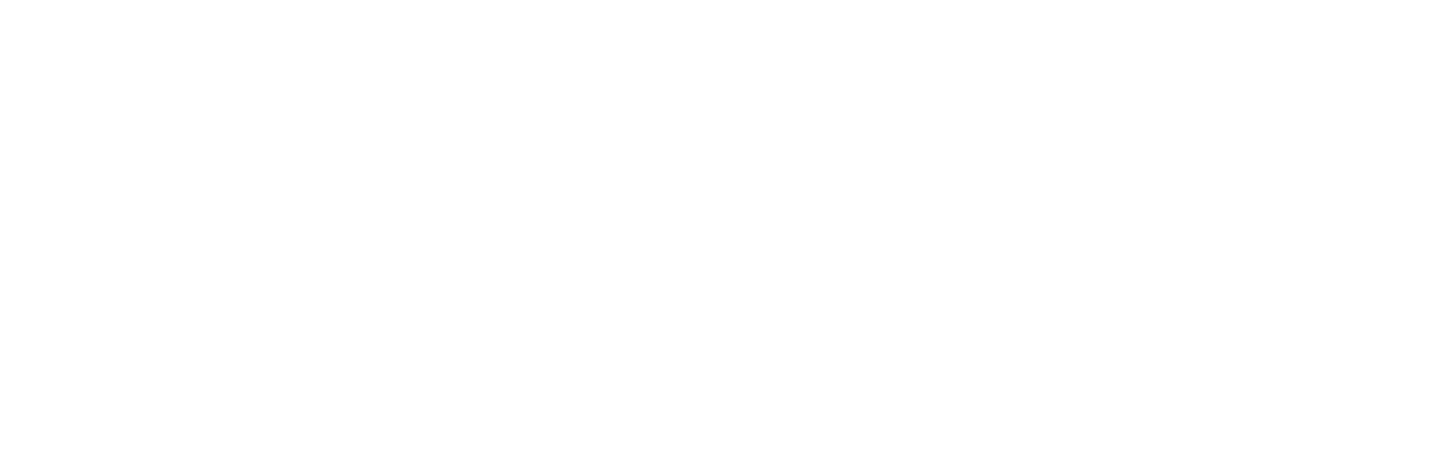 Rasmus Bjerge